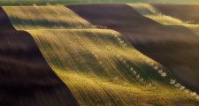 Moravian wavy fields in spring - Kucera Martin, AFIAP - Slovakia