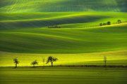 Green lines - Milan Uhrin - Slovakia